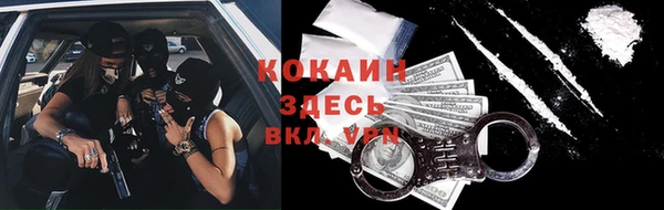 PSILOCYBIN Вяземский