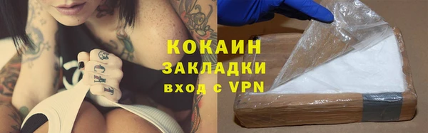 PSILOCYBIN Вяземский