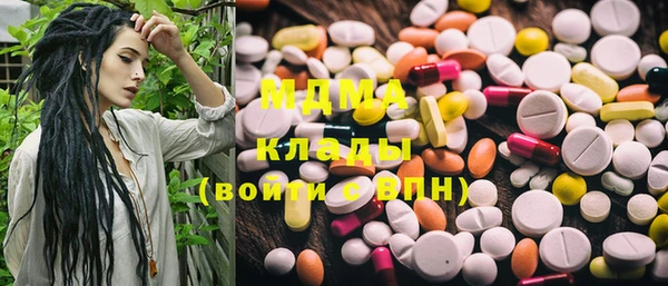 PSILOCYBIN Вяземский
