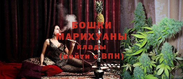 PSILOCYBIN Вяземский