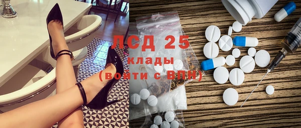 PSILOCYBIN Вяземский