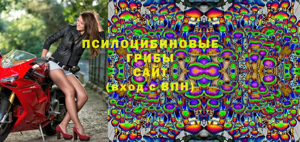 PSILOCYBIN Вяземский