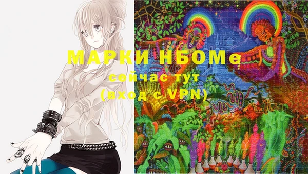PSILOCYBIN Вяземский