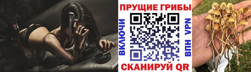 ОМГ ОМГ ССЫЛКА  цена   Абакан  Псилоцибиновые грибы мухоморы 